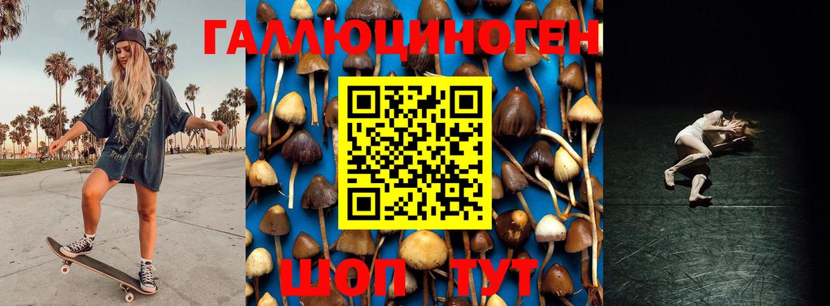 Псилоцибиновые грибы мухоморы Унеча